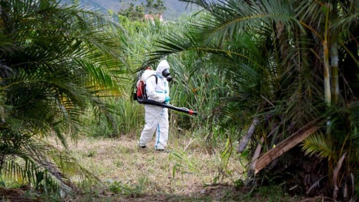Image à la une de La Réunion: cinq nouveaux décès imputés au chikungunya malgré une épidémie en décrue