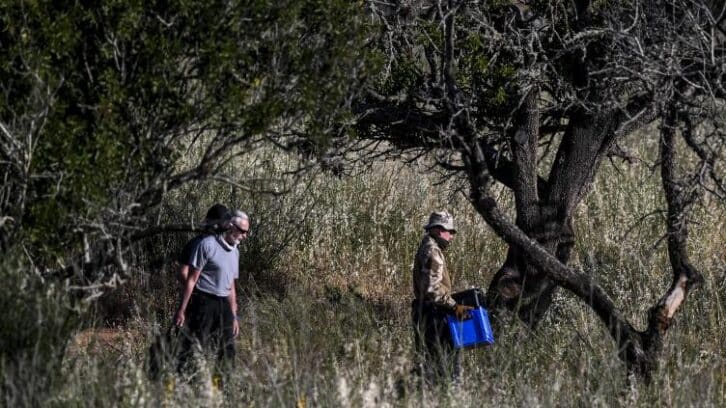 Image à la une de Affaire Maddie: troisième jour de fouilles dans le sud du Portugal
