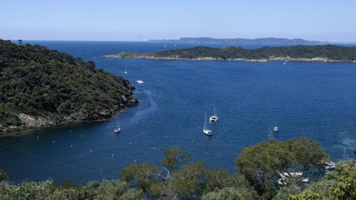 Image à la une de A Port-Cros, la plus vieille aire marine protégée d’Europe “montre le futur”
