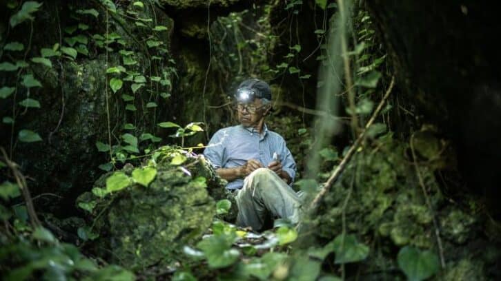 Image à la une de “Jusqu’au dernier”: au Japon, des chercheurs d’os sur les traces des morts de la Seconde Guerre mondiale
