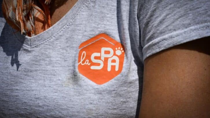Image à la une de La SPA lance sa campagne d’été contre l’abandon des animaux, avec Gilles Lellouche