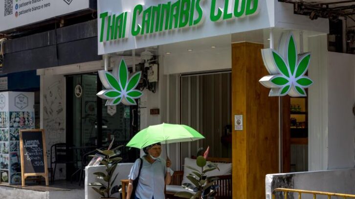 Image à la une de Thaïlande: les pro-cannabis inquiets après le resserrage annoncé par le gouvernement