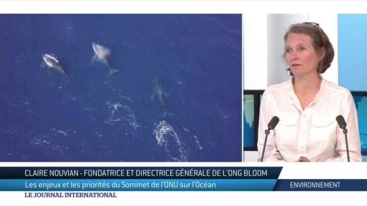 Image à la une de Environnement : les enjeux et les priorités du Sommet de l’ONU sur l’Océan