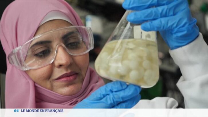 Image à la une de Pour sauver l’environnent, des champignons mangeurs de plastique