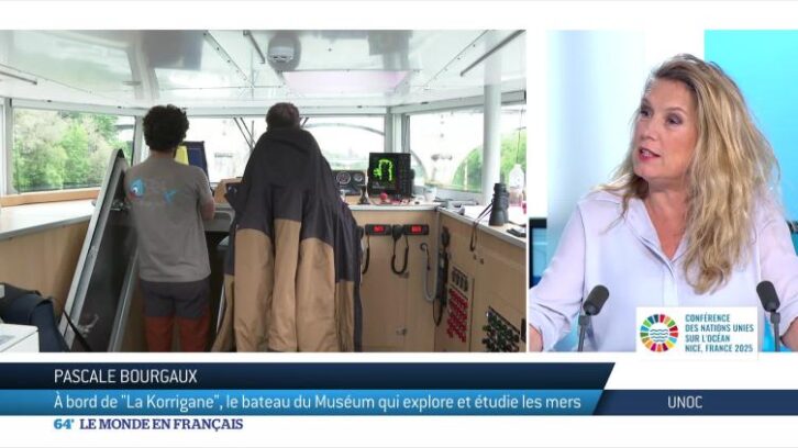 Image à la une de Environnement : bienvenue à bord de la Korrigane