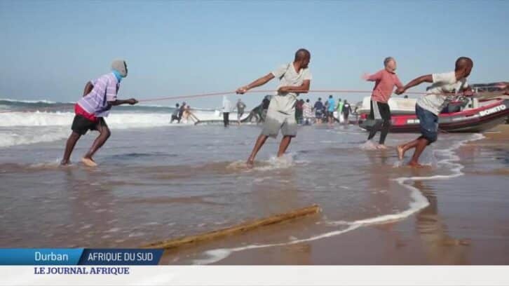 Image à la une de Afrique du Sud : début de la saison des sardines