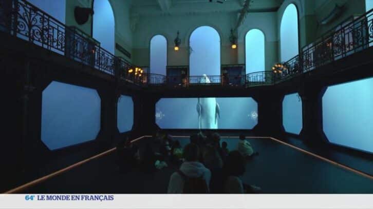 Image à la une de Monaco : visite du Musée océanographique