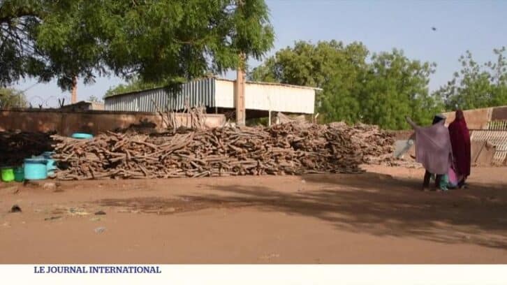 Image à la une de Niger : le bois se fait rare