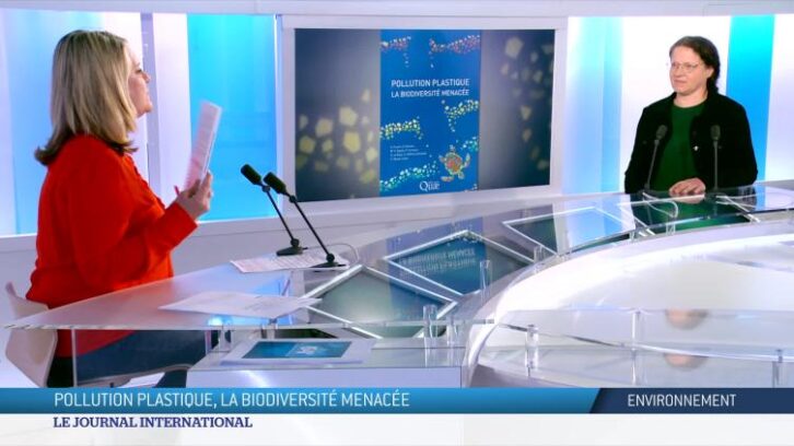 Image à la une de Environnement : pollution plastique, la biodiversité menacée