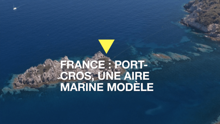 Image à la une de France : Port-Cros, la plus vieille aire marine protégée d’Europe montre l’exemple
