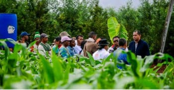 Image à la une de SECTEUR PRIMAIRE – Madagascar au défi de la résilience agricole