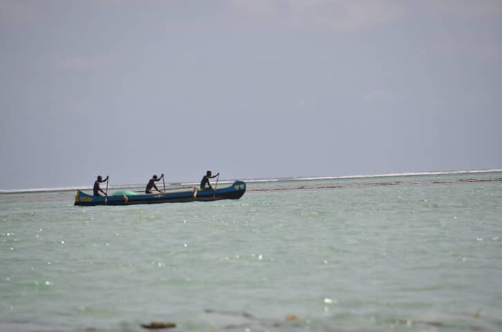 Image à la une de TOLIARA – Un jeune organisme protège les herbiers marins