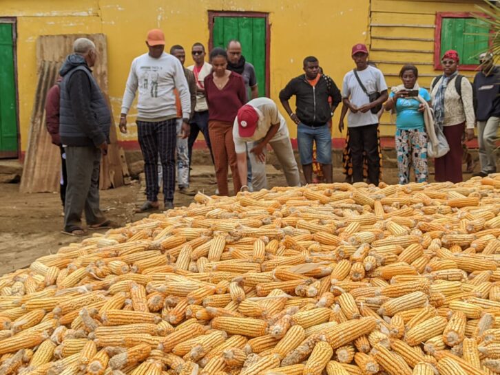 Image à la une de FESTIVAL TSAKOTSAKO À ANTSIRANANA – La part belle au maïs