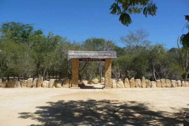 Image à la une de Le Sud : Destination la plus prisée des touristes 