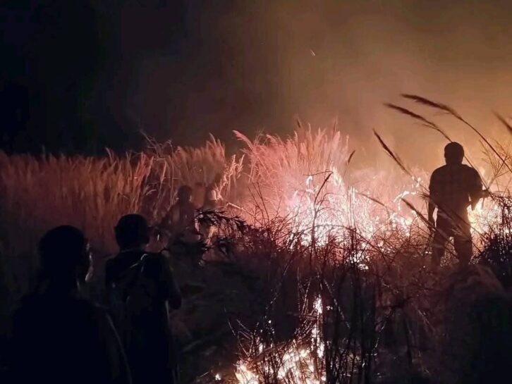 Image à la une de ENVIRONNEMENT – Huit cents points de feu détectés