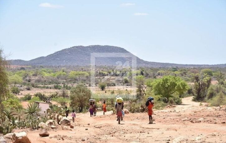 Image à la une de SITUATION ALIMENTAIRE – Madagascar parmi les 41 pays et territoires nécessitant une aide extérieure pour leur alimentation