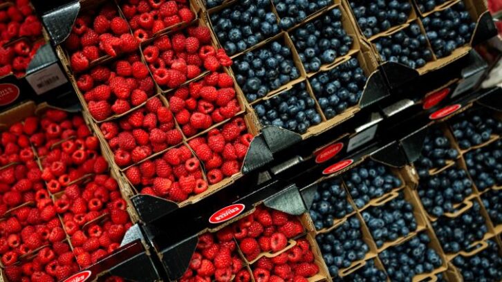 Image à la une de Fruits “origine France” frauduleux: un grossiste condamné pour tromperie