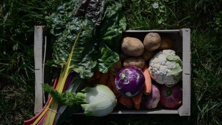 Image à la une de Les agriculteurs bio dénoncent un “hold-up” sur leurs aides