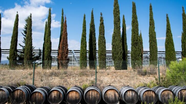 Image à la une de Crise du vin: les caves coopératives en première ligne