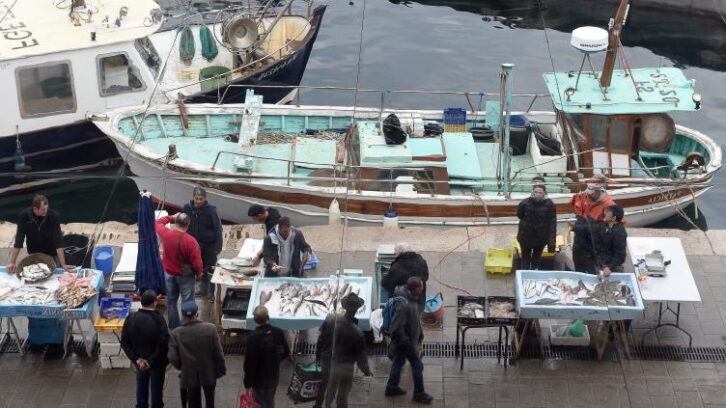 Image à la une de En Méditerranée, les poissons cherchent la fraîcheur et ça recompose nos assiettes