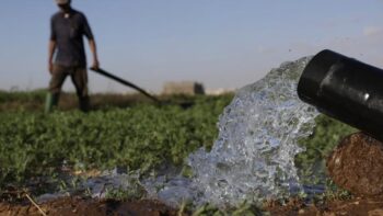 Image à la une de L’eau dessalée au secours de l’agriculture dans le sud du Maroc