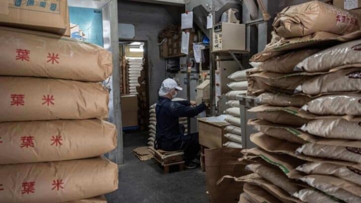 Image à la une de Commerce: le riz, dilemme épineux pour Tokyo dans ses négociations avec Trump