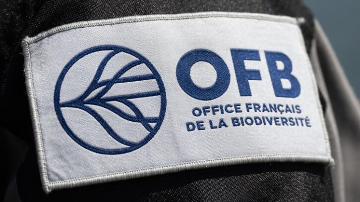 Image à la une de Braconnage: cinq personnes, dont le milliardaire Olivier Bouygues, jugées en mars 2026