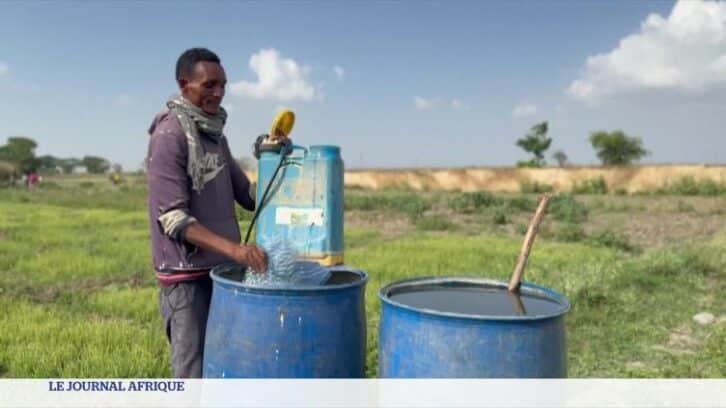 Image à la une de Ethiopie : le lac Dembel menacé