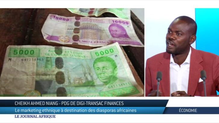 Image à la une de Economie : le marketing ethnique à destination des diasporas africaines