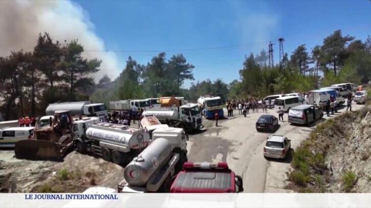 Image à la une de Syrie : plus de 10 000 hectares ravagés par les flammes