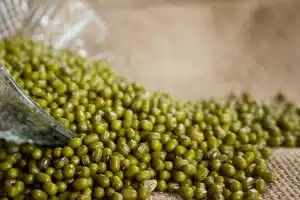 Image à la une de Souveraineté alimentaire : deux accords coclus avec SINOMACH