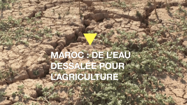 Image à la une de Maroc : l’eau dessalée au secours de l’agriculture