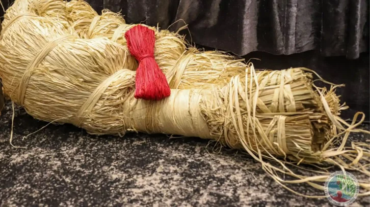 Image à la une de MATIÈRE PREMIÈRE – La transformation de davantage de raphia à l’étude pour en accroître la valeur