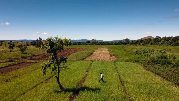 Image à la une de SÉCURITÉ ALIMENTAIRE – L’Union européenne et la France financent un nouveau programme pour la transition agroécologique dans l’Indianocéanie