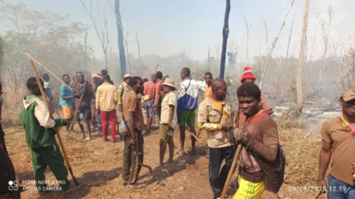 Image à la une de ENVIRONNEMENT-  Menabe Antimena touché par les feux