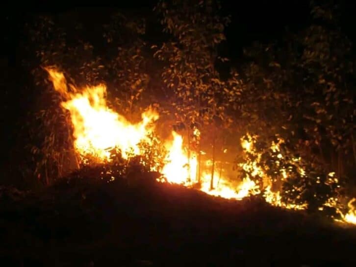 Image à la une de ENVIRONNEMENT – Plus d’un millier de foyers d’incendie recensés