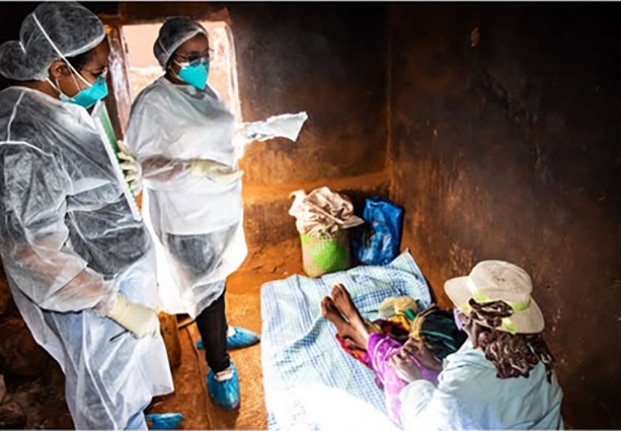 Image à la une de Peste bubonique – Deux traitements efficaces validés à Madagascar