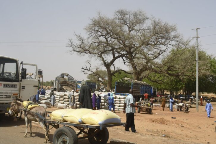 Image à la une de Le Mali annonce la libération de quatre Marocains enlevés au Sahel en janvier