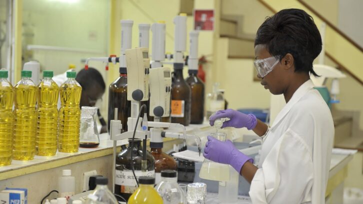 Image à la une de MTN, OCP, Tanger Med, Sifca… Qui sont les champions africains de la RSE ?