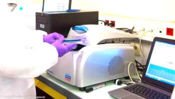 Image à la une de COVID-19 : Madagascar devient un acteur clé de la surveillance mondiale grâce à l’Institut Pasteur