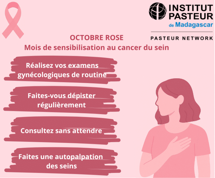 Image à la une de Octobre rose : luttons ensemble contre le cancer du sein